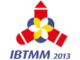 IBTMM 2013